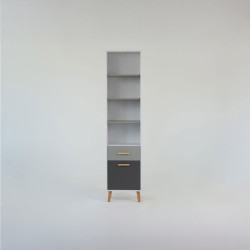 Βιβλιοθήκη Timmy 1D1s Βιβλιοθήκη Timmy 1D1s