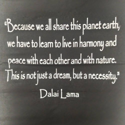 Διακοσμητικό Τοίχου O-NYO8 Διακοσμητικό Τοίχου O-NYO8