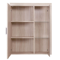 Κρεμαστή Βιτρίνα Damis