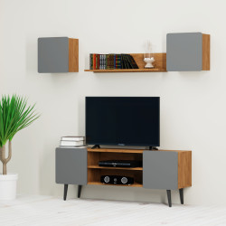 Σύνθεση τηλεόρασης Arktos1