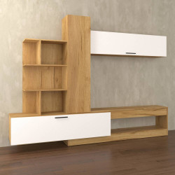 Σύνθεση Τηλεόρασης OMELA