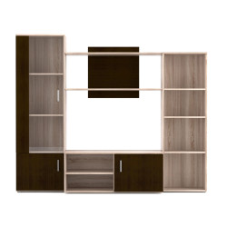 Σύνθεση Τηλεόρασης Tigra