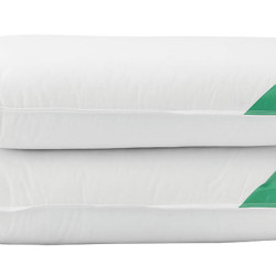 Beauty Home Μαξιλάρι ύπνου με Aloe Vera Art 4002 Μέτριο 50x70 Λευκό Beauty Home Μαξιλάρι ύπνου με Aloe Vera Art 4002 Μέτριο 50x70 Λευκό