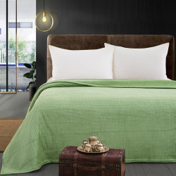 Beauty Home Κουβέρτα μονόχρωμη μονή Fleece Art 11552 160x220 Πράσινο Beauty Home Κουβέρτα μονόχρωμη μονή Fleece Art 11552 160x220 Πράσινο