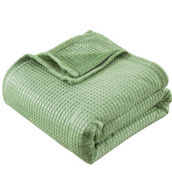Beauty Home Κουβέρτα μονόχρωμη μονή Fleece Art 11552 160x220 Πράσινο Beauty Home Κουβέρτα μονόχρωμη μονή Fleece Art 11552 160x220 Πράσινο
