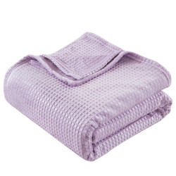 Beauty Home Κουβέρτα μονόχρωμη μονή Fleece Art 11553 160x220 Λιλά Beauty Home Κουβέρτα μονόχρωμη μονή Fleece Art 11553 160x220 Λιλά