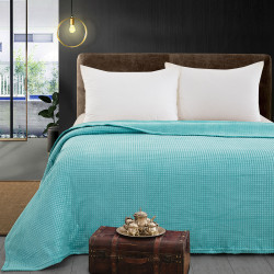 Beauty Home Κουβέρτα μονόχρωμη μονή Fleece Art 11554 160x220 Τυρκουαζ Beauty Home Κουβέρτα μονόχρωμη μονή Fleece Art 11554 160x220 Τυρκουαζ