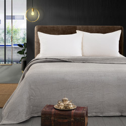 Beauty Home Κουβέρτα μονόχρωμη μονή Fleece Art 11555 160x220 Γκρι Beauty Home Κουβέρτα μονόχρωμη μονή Fleece Art 11555 160x220 Γκρι