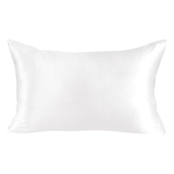 Beauty Home Μεταξωτή μαξιλαροθήκη σε κουτί δώρου Art 12173 50x70 Άμμου