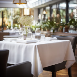 Beauty Home Τραπεζομάντηλο επαγγελματικό Stain Art Ε8496 100x100 Λευκό Beauty Home Τραπεζομάντηλο επαγγελματικό Stain Art Ε8496 100x100 Λευκό