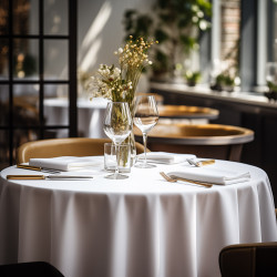 Beauty Home Ροτόντα επαγγελματική Stain Art Ε8496 Φ320 Λευκό Beauty Home Ροτόντα επαγγελματική Stain Art Ε8496 Φ320 Λευκό