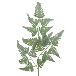 Beauty Home ΦΤΕΡΗ 38x116cm Beauty Home ΦΤΕΡΗ 38x116cm