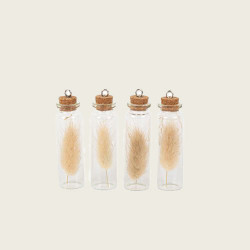 Beauty Home ΓΥΑΛΙΝΟΣ ΣΩΛΗΝΑΣ ΜΕ ΑΠΟΞΗΡΑΜΕΝΑ LAGURUS ΣΕΤ 4 ΤΜΧ ΕΚΡΟΥ 8 x 2 cm