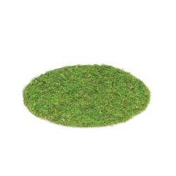 Beauty Home ΣΟΥΠΛΑ GREENERY 35 cm Beauty Home ΣΟΥΠΛΑ GREENERY 35 cm