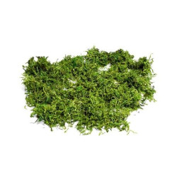 Beauty Home ΦΥΣΙΚΑ ΒΡΥΑ 50gr Beauty Home ΦΥΣΙΚΑ ΒΡΥΑ 50gr