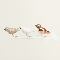 Beauty Home ΠΟΥΛΙΑ ΣΕΤ 3 ΤΜΧ 3 x 8 x 3,5 CM Beauty Home ΠΟΥΛΙΑ ΣΕΤ 3 ΤΜΧ 3 x 8 x 3,5 CM