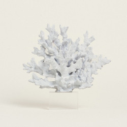 Beauty Home ΚΟΡΑΛΙ ΛΕΥΚΟ  ΜΕ ΒΑΣΗ PLEXI GLASS 24 x 24 cm