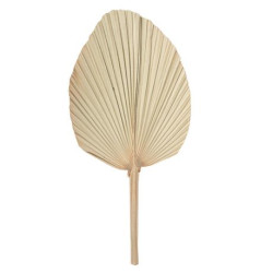 Beauty Home ΦΥΛΛΑ ΠΑΛΜΑ 70 x 33 cm Beauty Home ΦΥΛΛΑ ΠΑΛΜΑ 70 x 33 cm