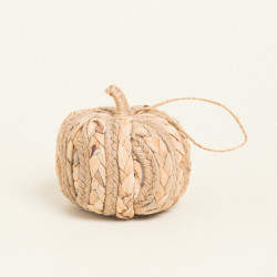 Beauty Home ΚΟΛΟΚΥΘΑ ΜΠΑΜΠΟΥ Α 10 x 10 cm Beauty Home ΚΟΛΟΚΥΘΑ ΜΠΑΜΠΟΥ Α 10 x 10 cm