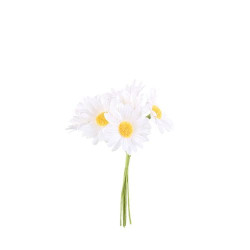 Beauty Home ΜΑΡΓΑΡΙΤΕΣ 6 ΤΜΧ 4,5 x 12&#13;
cm