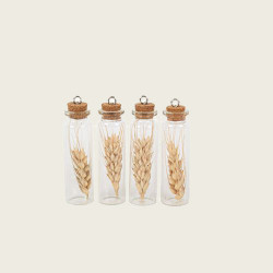 Beauty Home ΓΥΑΛΙΝΟΣ ΣΩΛΗΝΑΣ ΜΕ ΑΠΟΞΗΡΑΜΕΝΟ ΣΤΑΧΙ ΣΕΤ 4 ΤΜΧ 8 x 2 cm