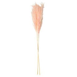 Beauty Home PAMPAS ΡΟΖ 80 CM  3 ΤΜΧ Beauty Home PAMPAS ΡΟΖ 80 CM  3 ΤΜΧ