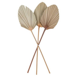 Beauty Home ΦΥΛΛΑ ΠΑΛΜΑ ΣΕΤ 3 ΤΜΧ 60 x 15 cm Beauty Home ΦΥΛΛΑ ΠΑΛΜΑ ΣΕΤ 3 ΤΜΧ 60 x 15 cm