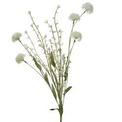 Beauty Home ΑΛΙΟΥΜ ΜΙΝΙ Beauty Home ΑΛΙΟΥΜ ΜΙΝΙ