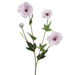 Beauty Home ΛΟΥΛΟΥΔΙ 67CM