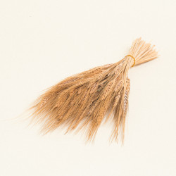 Beauty Home ΣΤΑΧΥ Beauty Home ΣΤΑΧΥ