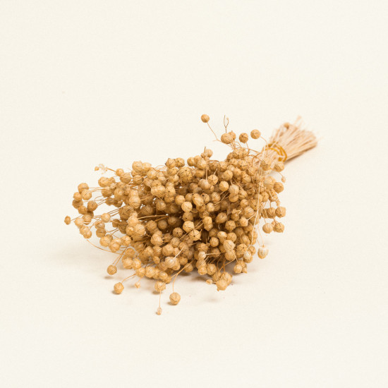 Beauty Home ΑΠΟΞΗΡΑΜΕΝΟ ΛΙΝΑΡΙ