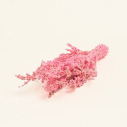 Beauty Home ΑΠΟΞΗΡΑΜΕΝΗ ΛΕΒΑΝΤΑ Beauty Home ΑΠΟΞΗΡΑΜΕΝΗ ΛΕΒΑΝΤΑ