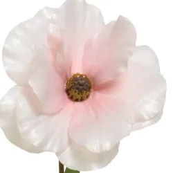 Beauty Home ΛΟΥΛΟΥΔΙ  67CM