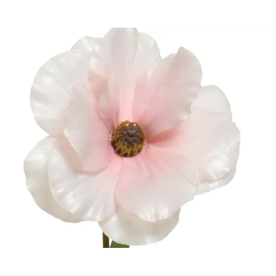 Beauty Home ΛΟΥΛΟΥΔΙ  67CM