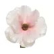 Beauty Home ΛΟΥΛΟΥΔΙ  67CM