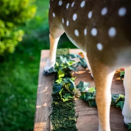 Beauty Home ΚΟΡΔΕΛΑ ΦΥΣΙΚΑ ΒΡΥΑ 10 cm x 2 m