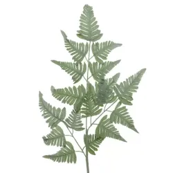 Beauty Home ΦΤΕΡΗ 38x116cm Beauty Home ΦΤΕΡΗ 38x116cm