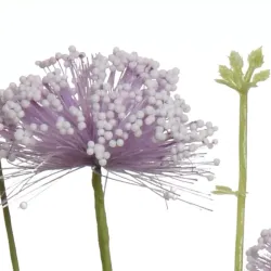 Beauty Home ΛΟΥΛΟΥΔΙ  60cm