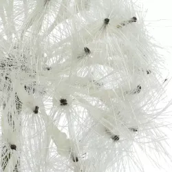 Beauty Home ΛΟΥΛΟΥΔΙ 50CM