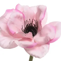 Beauty Home ΑΝΑΕΜΩΝΗ 57 CM