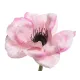 Beauty Home ΑΝΑΕΜΩΝΗ 57 CM