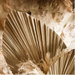 Beauty Home ΦΥΛΛΑ ΠΑΛΜΑ  60 x 30 cm Beauty Home ΦΥΛΛΑ ΠΑΛΜΑ  60 x 30 cm