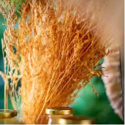 Beauty Home ΑΠΟΞΗΡΑΜΕΝΟ ΣΑΦΡΑΝ