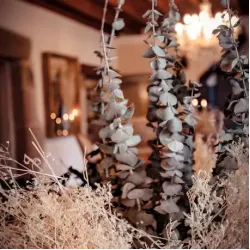 Beauty Home ΑΠΟΞΗΡΑΜΕΝΟΣ ΕΥΚΑΛΥΠΤΟΣ 66CM