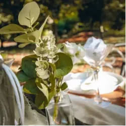 Beauty Home ΕΥΚΑΛΥΠΤΟΣ 35 CM