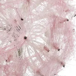 Beauty Home ΛΟΥΛΟΥΔΙ 50 CM