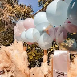 Beauty Home ΓΙΡΛΑΝΤΑ ΜΕ ΜΠΑΛΟΝΙΑ 58 ΤΕΜ