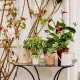 Beauty Home ΜΕΤΑΛΛΙΚΟ ΚΑΣΠΩ ΑΝΑΓΛΥΦΟ  Εκρού
