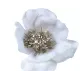 Beauty Home ΛΟΥΛΟΥΔΙ ΒΕΛΟΥΔΙΝΟ ΜΕ ΧΡΥΣΟ ΓΚΛΙΤΕΡ 58 cm