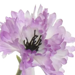 Beauty Home ΛΟΥΛΟΥΔΙ 68 CM